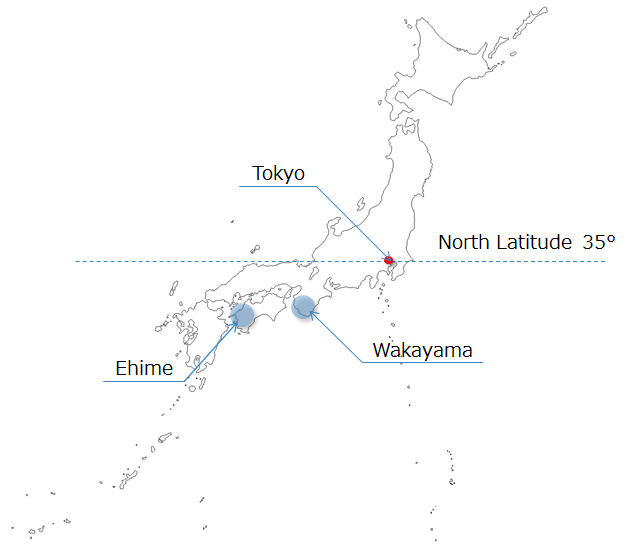 アボカド栽培の国内の状況